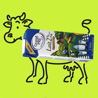 Cow for TetraPack Milk advertising campaign